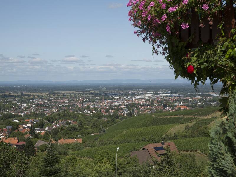 Das Foto zeigt den Blick über Bühl auf die Rheinebene